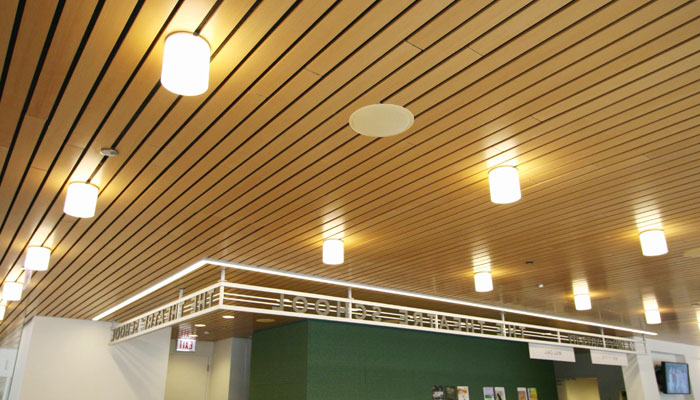 WPC-Ceiling